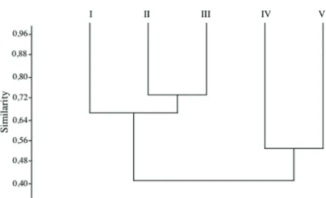 Figure 7.  Pattern of decreasing species richness for some genera  of ferns and lycophytes present in southeastern and southern  Brazil, as well as along the CRRS and Uruguay