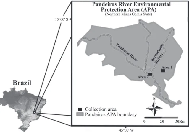 Figure 1.  Location of the River Pandeiros Environmental Protection Area (EPA) in Minas Gerais State, Brazil, with schematic  representations of the two sampling areas (Januária, northern Minas Gerais State).