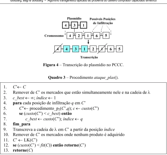 Figura 4 – Transcrição do plasmídio no PCCC. 
