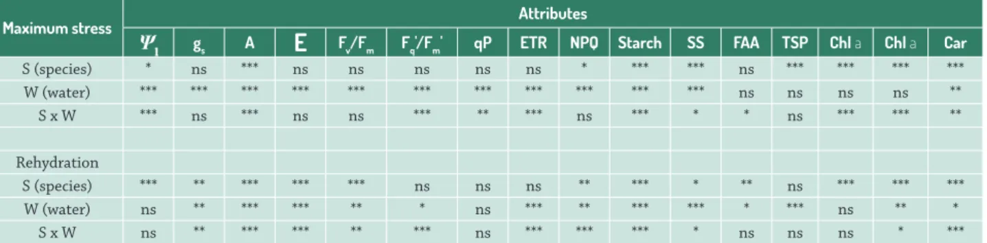 Table 1.  Statistical summary of two-way ANOVA for each period of analysis (maximum stress and rehydration)