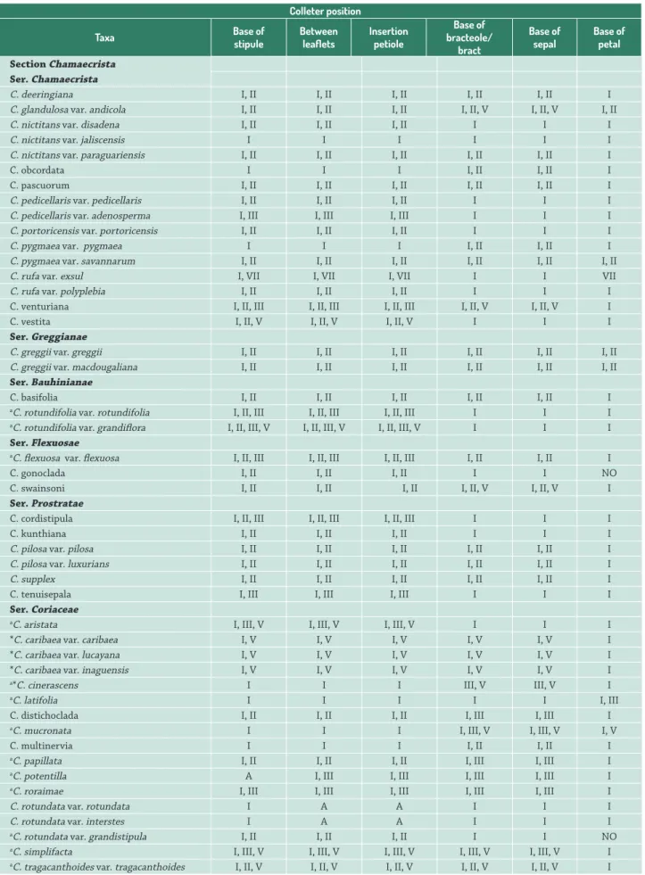 Table 1.  Chamaecrista sections Chamaecrista and Caliciopsis species studied and position of the colleters