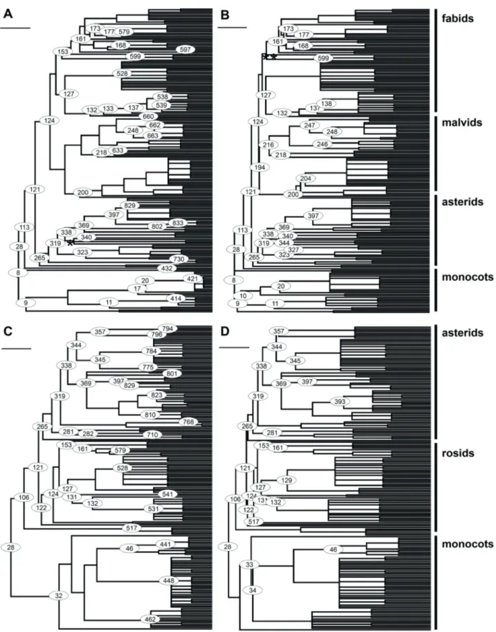 Figure 1.  Community trees for the Forest of Seu Nico Dynamics Plot (A, dated by exponential distribution from Bell et al