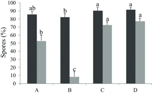 Figure 1.  Influence of different concentrations of sodium hypochlorite (NaClO) and addition of actidione or nystatin to the culture  medium on the percentages (mean ± standard deviation) of spores germinated and on gametophytic development of Cyathea phal
