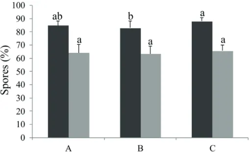 Figure 2.  Influence of different concentrations of sodium hypochlorite (NaClO) and exposure times on percentages (mean ± standard  deviation) of spores germinated and on gametophytic development of Cyathea phalerata after 30 days of cultivation