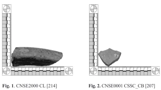 Fig. 1. CNSE2000 CL [214]                          Fig. 2. CNSE0001 CSSC_CB [207]