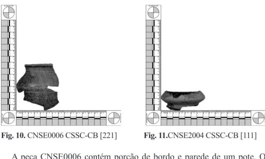 Fig. 10. CNSE0006 CSSC-CB [221]             Fig. 11.CNSE2004 CSSC-CB [111]