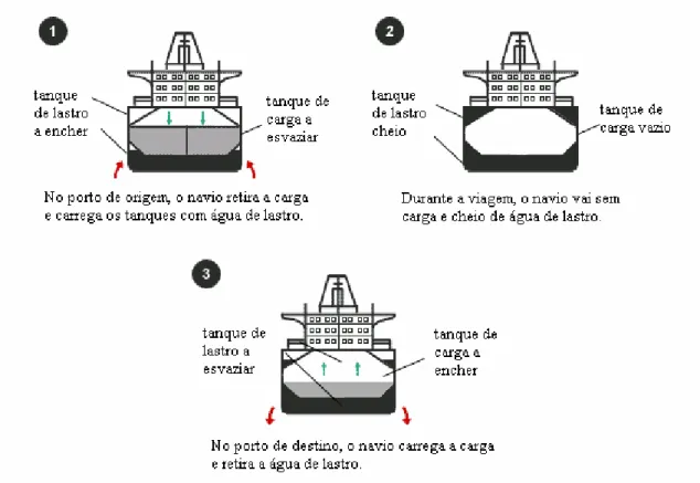 Figura 1: Secção transversal de um navio, mostrando os tanques de lastro, os de carga e o ciclo da água  de lastro