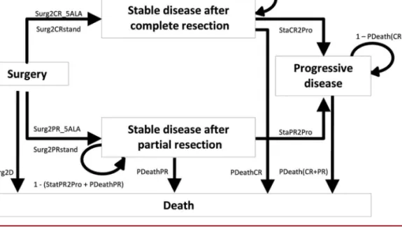 FIGURE 1. Influence diagram. 5-ALA, 5-aminolevulinic acid; PDeathCR, probability of death for patients with complete resection (time dependent); PDeathPR, probability of death in patients with partial resection (time dependent); Surg2CR_5ALA, probability o