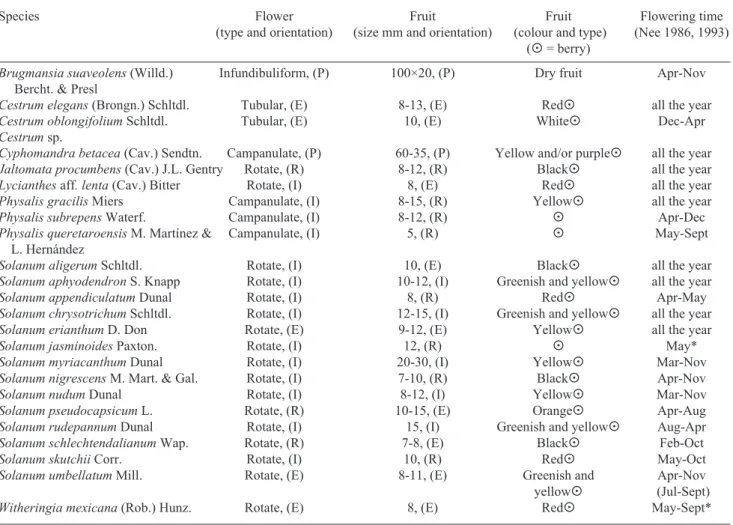Table 4. (continuation) Morphological features of the Solanaceae species recorded in the Mexican mountain cloud forests of Hidalgo,  Mexico