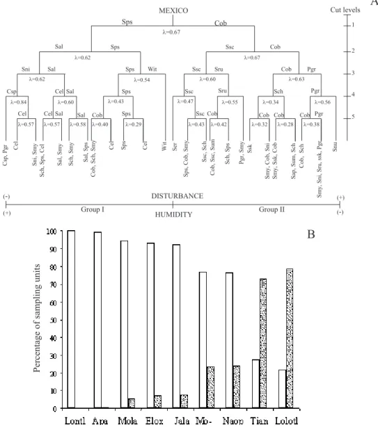 Figure 2. A. Dendrogram (obtained via TWINSPAN) showing the (dis)similarities of the species sampled in the nine Mexican mountain  cloud forest fragments