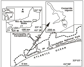 Figure 1. Location of Comprida Lagoon along the Brazilian coast and sampling stations (S1 = Station 1; S2 = Station)
