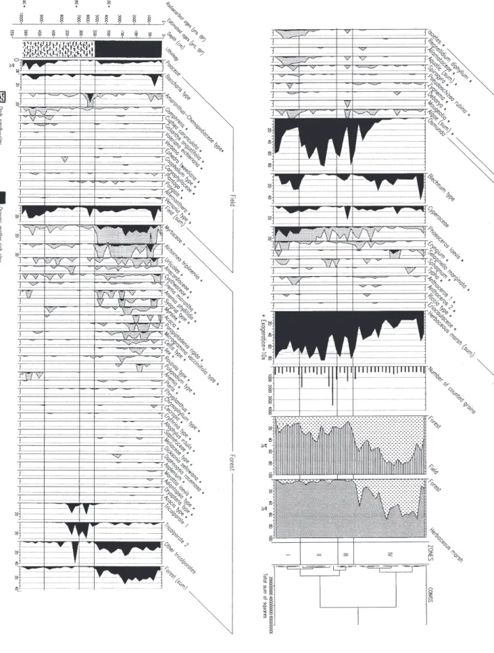 Figure 2. Palynological percentage diagrams for the sedimentary profile from the Serra Velha swamp forest, including all individual indicators of grassland (field), forest, water reservoir and herbaceous plant marsh, sum of each group, composite diagrams, 