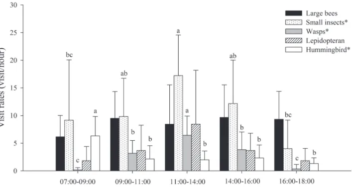 Figure 2. Th   e frequency of diff erent fl ower visitors according to time interval in Styrax ferrugineus Nees &amp; Mart in the cerrado of Uberlândia - MG