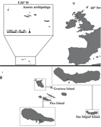 Figure 2. Location of the Azores archipelago and of the collecting sites: São  Miguel Island - (a) Ilhéu São Roque; Pico Island - (b) Lajes do Pico, (c) Cais do  Pico; Graciosa Island - (d) Baia da Vitória, (e) Santa Cruz.