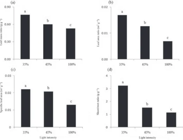 Figure 2. Leaf mass ratio (a), leaf area ratio (b), specific leaf area (c) and shoot/root ratio (d) of red rice seedlings exposed  to varying levels of light intensity.