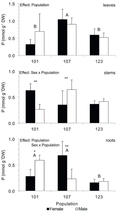 Figure 4.  Phosphorous concentration in leaves, stems and roots of male and female plants of B
