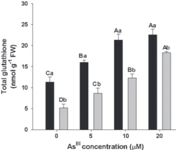 Table 1. Arsenic concentration (µg g -1  DW) on S. molesta floating  leaves and submerged leaves after 24 hours of As III  exposure