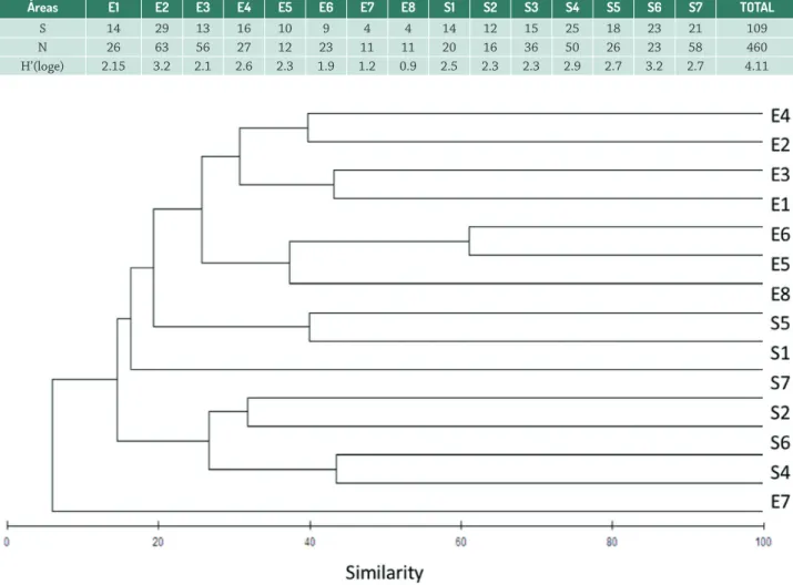 Table 3.  Richness, sampling and diversity of bryophytes by campo rupestre area of Chapada Diamantina, Bahia, Brazil