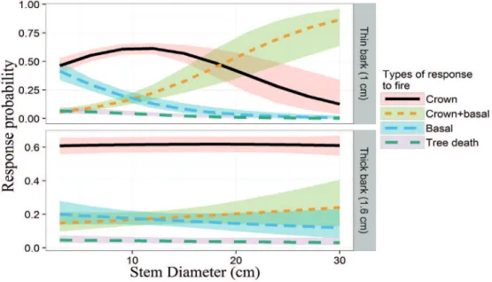 Figure 3.  Influence of bark thickness and basal stem diameter (SD 30cm ) on the probability of different types of response to fire damage  in native woody species in the Bacaba Municipal Park, Mato Grosso, Brazil.