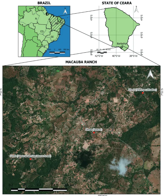 Figure 1.  Study Area (Macaúba Ranch, Ceará State, Northeastern Brazil) and landscape units where plots were established for the  study of population structure of Attalea speciosa Mart