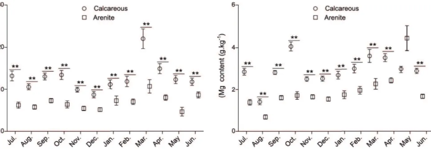 Figure 2.  Calcium content (Ca) in the leaf litter of calcareous and  arenite cerrado over one year (mean ± S.E.)