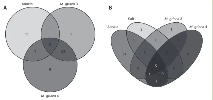 Figure 2. Specifi city for induced (A) and repressed (B) genes in rice.11Anoxia23M. grisea 3M