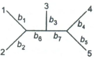 Figura 3.10: Topologia com cinco v´ ertices externos.