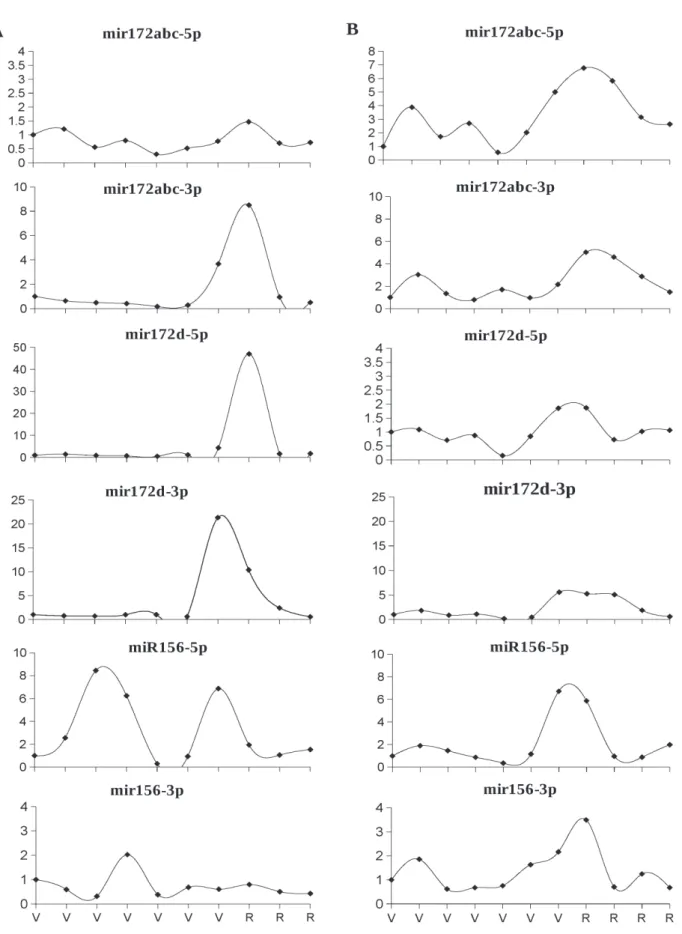 Figure 2.  Relative expression (Y-axis) of the miR156 and miR172 families in leaves (A) and meristems (B) of J