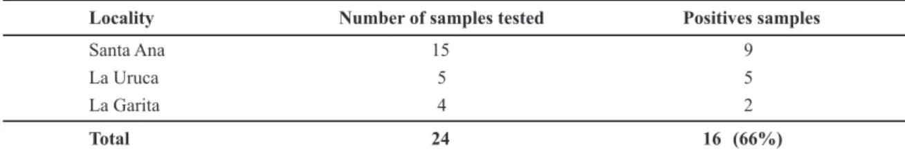 TABLE 1.  Number of X. fastidiosa positive samples from the total evaluated by DAS-ELISA