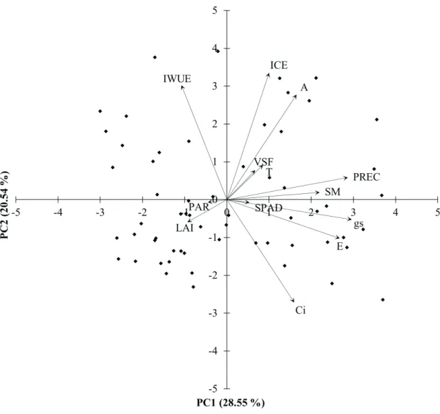 Figure 3.  Principal Component Analysis (PCA; PCA1 and PCA2) among the variables of Group I and Group II