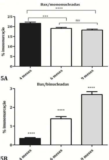 Fig. 5. (A) Distribuição do índice de marcação para Bax nas cé- cé-lulas trofoblásticas mononucleadas nos grupos com 4, 6 e 9  meses de gestação