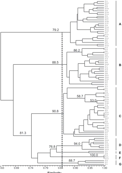FIG.  1  -  Genetic similarity among Macrophomina phaseolina isolates sampled from different  crop  rotation  systems  and  native  uncropped  soil