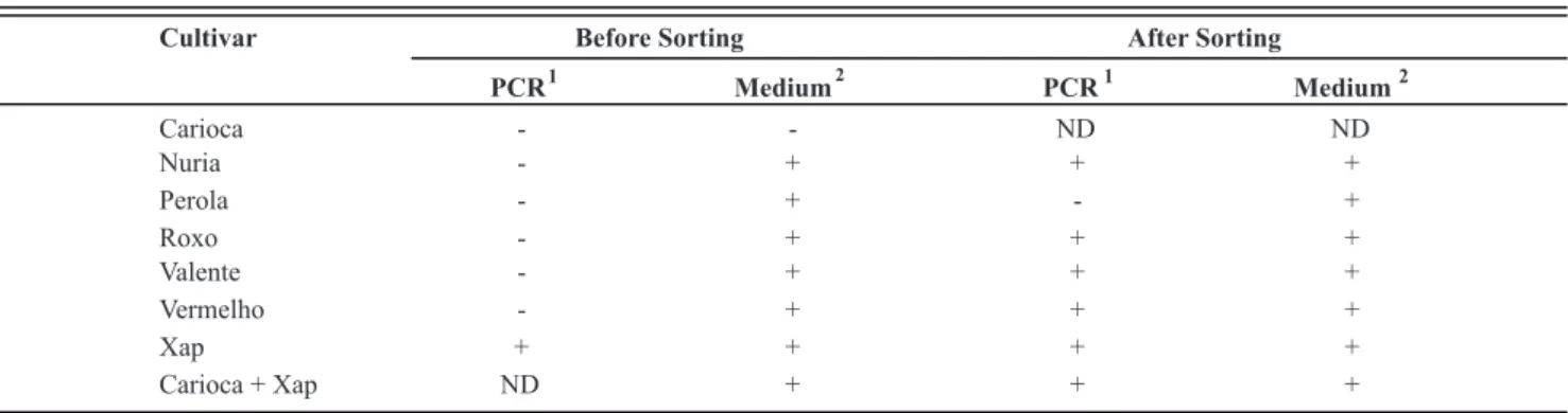 TABLE 1  - Detection of Xanthomonas axonopodis pv. phaseoli (Xap) in bean seed extracts by PCR and dilution plating on medium 523,  before and after sorting