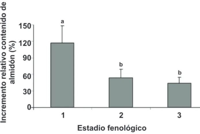 FIGURA 2 -  Incremento porcentual de almidón, respecto a plantas  de trigo cv ProINTA Federal sanas, para tres estadios fenológicos  de  picadura  por  insectos  no  virulíferos  (PS)  e  infección  por  aislamiento  de  Zona  Endémica  (ZE)  y  del  Noroe