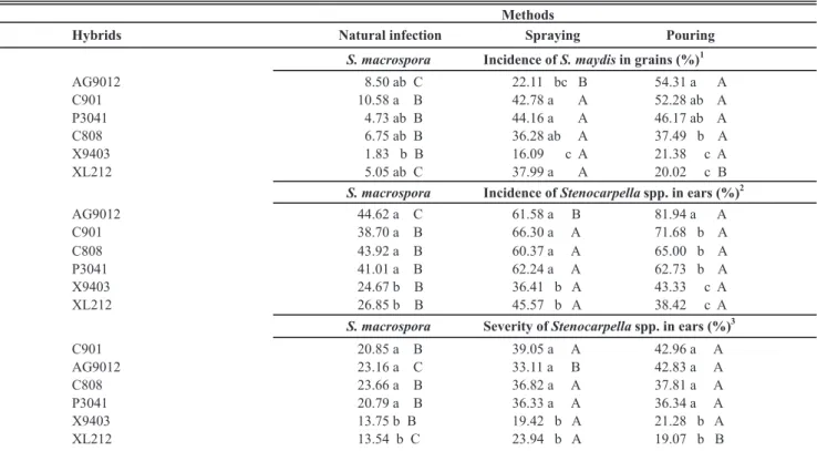 TABLE  3  -  Natural  incidence  of  Stenocarpella  macrospora  in  corn grains, in plants inoculated with S