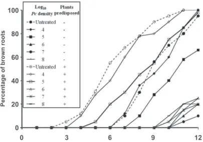 FIGURE  1  -   Root  browning  progress  curves  in  hydroponic  pepper  plants  inoculated  with Pythium  aphanidermatum  (Pa)  as  a  function  of  density  of  Pseudomonas  chlororaphis   63-28  (Pc)  applied  in  the  nutrient  solution  and  high temp