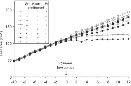 FIGURE 4 -  Area expansion of leaf 12 in  pepper plants as a function of Pseudomonas  chlororaphis (Pc) application in the nutrient  solution,  high  temperature  predisposition  of  the  plants  to  Pythium  root  rot,  and  inoculation with Pythium aphan