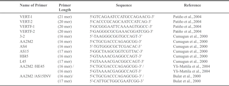 FIGURE 1 -  DNA fingerprints  of  several  F.  verticillioides  isolates  showing  amplified  products using  A