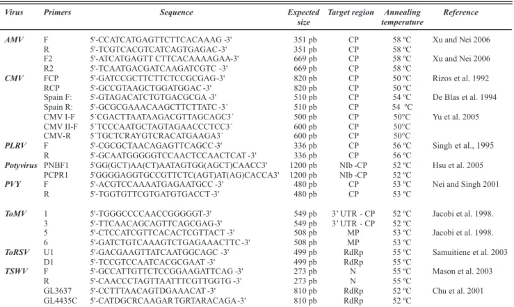 TABLE 1 -  Primers used in this study