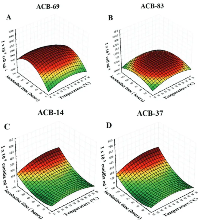 FIGURE 1 -  Response surface graphs of incubation time (6, 12, 18, 24, 36, 48, 72, and 120 h) and temperature (15, 20, 27, and 35ºC)  on production of cells of selected isolates of  Bacillus subtilis : ACB-69 (A), ACB-83 (B), and  Trichoderma  sp.: ACB-14 