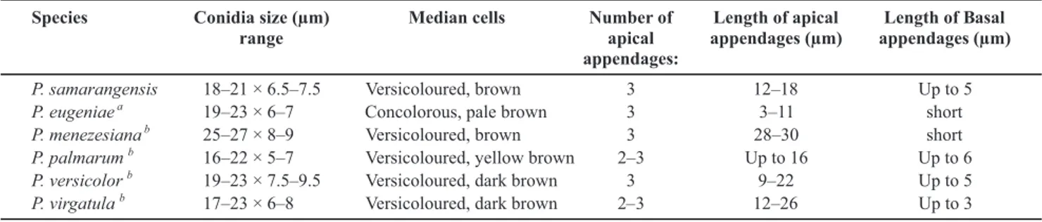 TABLE 2 - Comparison of conidia of Pestalotiopsis samarangensis and other similar species