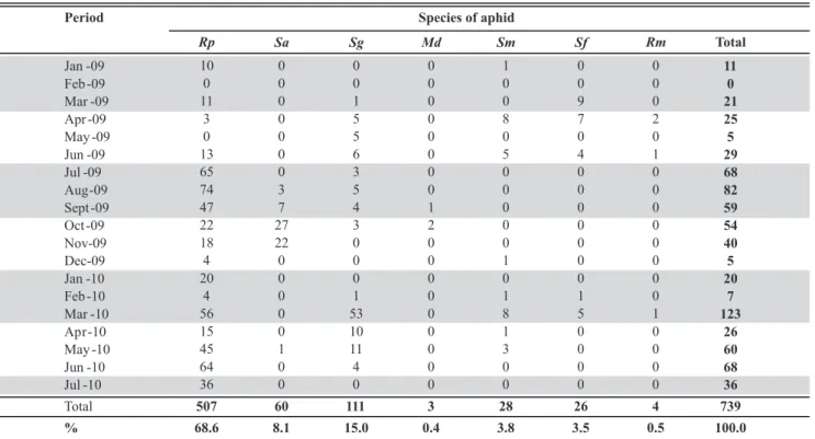 TABLE 2 -  Total aphids per species and month of collection from plants of the experimental area located in Coxilha, RS from January  2009 to July 2010