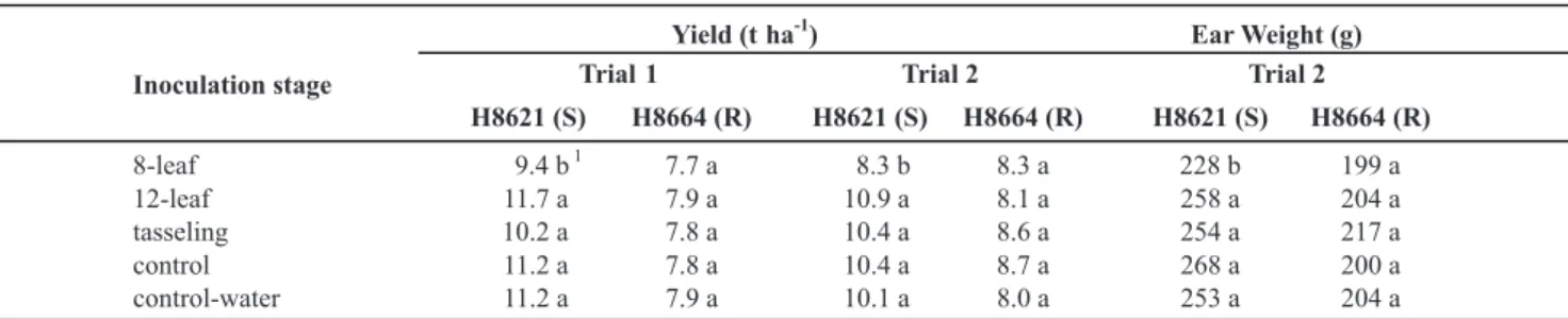 TABLE 2 -  Mean grain yield and ear weight of two hybrids inoculated with  C. graminicola  at the 8-leaf, 12-leaf and tasseling stages and  non-inoculated (control) or inoculated with water at the 8-leaf stage (control-water) 