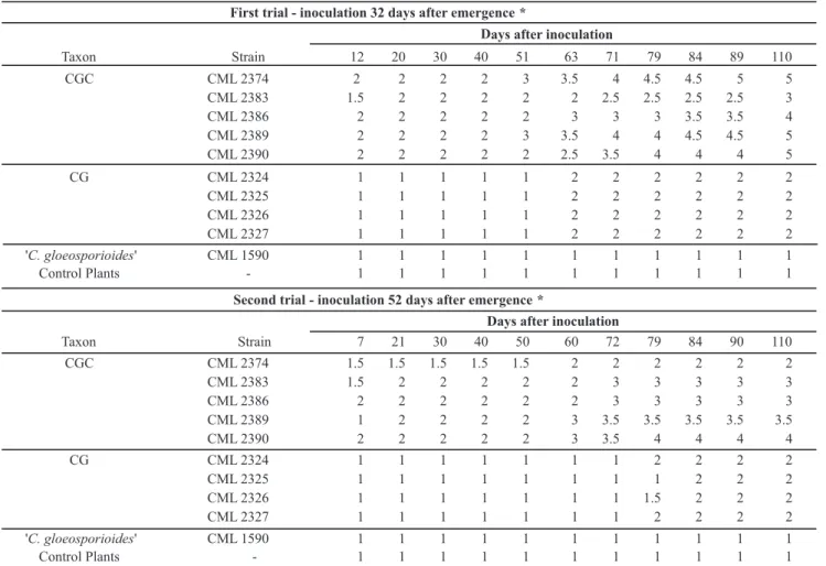 TABLE 2 - Median values of disease intensity for ramulosis (CGC strains) and anthracnose (CG strains) pathogens inoculated on cotton  plants 32 and 52 days after plant emergence.