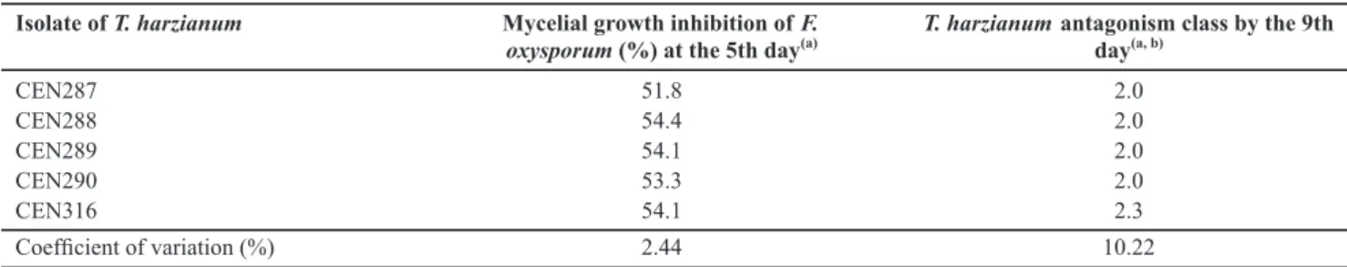 TABLE 1 - In vitro antagonism (confrontation plate assay) of Trichoderma harzianum against Fusarium oxysporum f