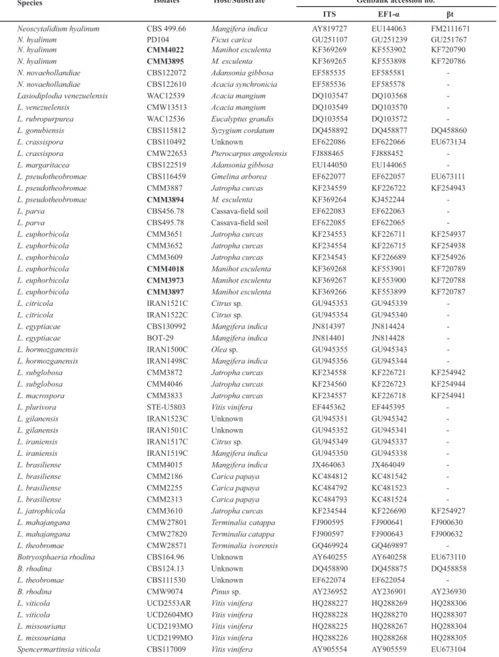 TABLE 1 - Genbank accession numbers of DNA sequences of Botryosphaeriaceae used in phylogenetic analysis