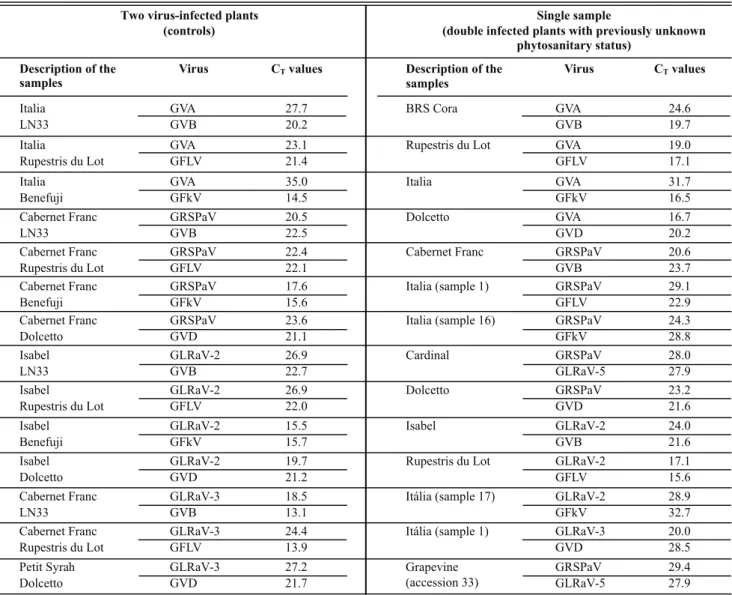 TABLE 2 -  Results (C T ) of duplex real-time RT-PCR, using two virus-infected plants (controls) or by analysing double infected plants of  unknown previous phytosanitary status