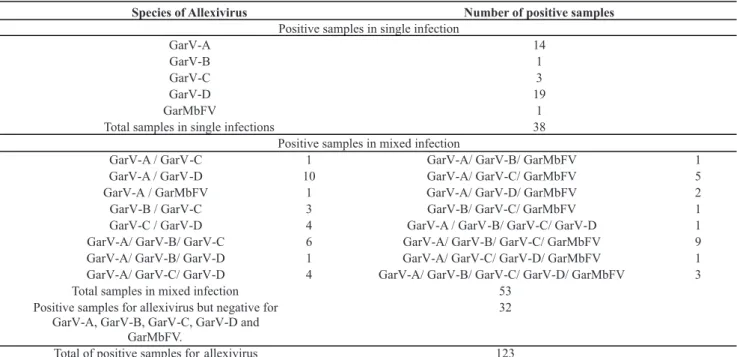 TABLE  1- Number of garlic samples analyzed and infected with  Garlic  virus  A (GarV-A), Garlic virus B (GarV-B), Garlic  virus  C  (GarV-C),  Garlic virus D  (GarV-D) and Garlic mite-borne filamentous virus (GarMbFV) in single and mixed infections
