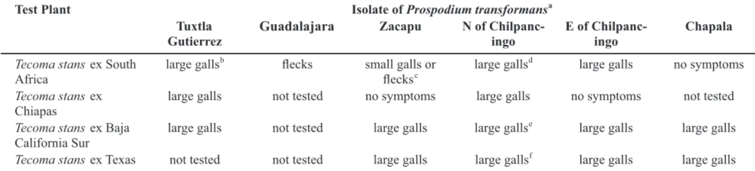 FIGURE  2  -  Cross  sections  of  spore  structures  on  galls  of  Prospodium  transformans 