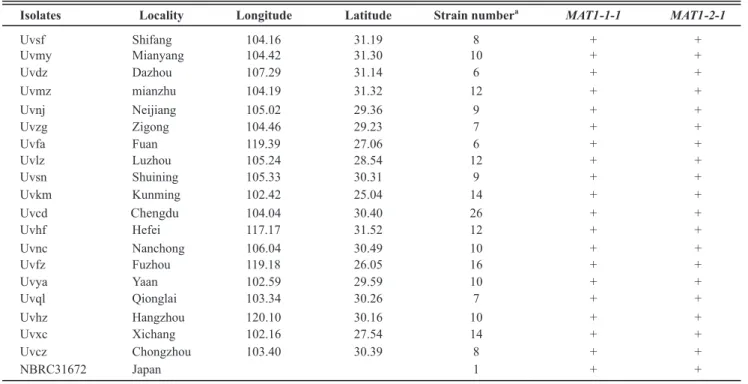 TABLE 1 -  Isolates of conidia used in this study. 